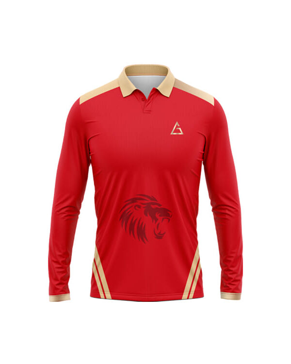 Punjab Cricket Jersey Design front view