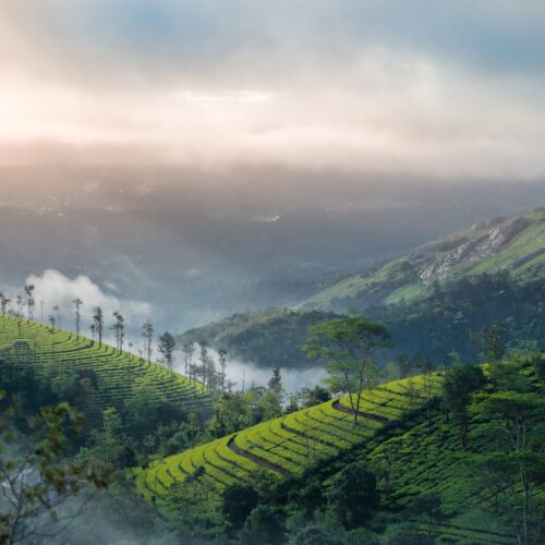 Top Cycling Routes in Idukki: A Paradise for Cyclists